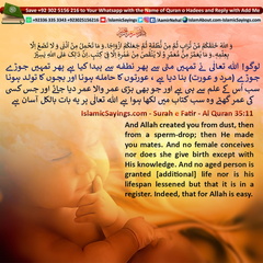 And-Allah-created-you-from-dust-then-from-a-sperm-drop