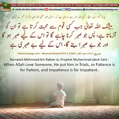 Patience-is-for-Patient,-and-Impatience-is-for-Impatient