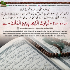 There is a surah in the Quran, with thirty verses which will intercede for its companion