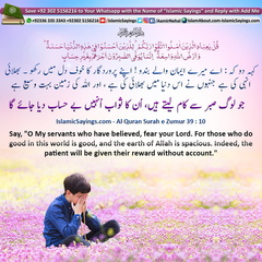 Indeed,-the-patient-will-be-given-their-reward-without-account