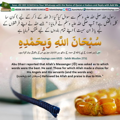 which-words-were-the-best-for-Zikr