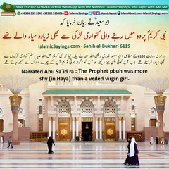 The-Prophet-pbuh-was-more-shy-in-Haya-than-a-veiled-virgin-girl