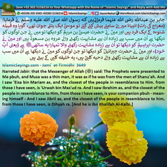 The-Prophets-were-presented-to-Me-pbuh