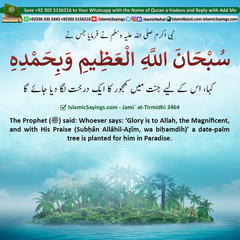 Whoever-says-Glory-is-to-Allah-the-Magnificent-and-with-His-Praise